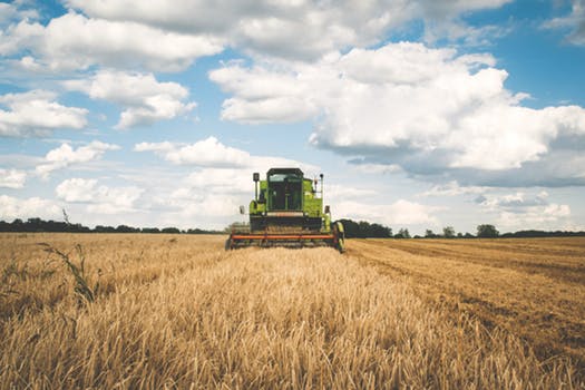 pexels-photo-175389-agricultural-equipment